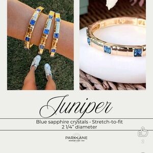 Park Lane “Juniper” Bracelet! BNIB!!